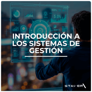 Introducción a los Sistemas de Gestión